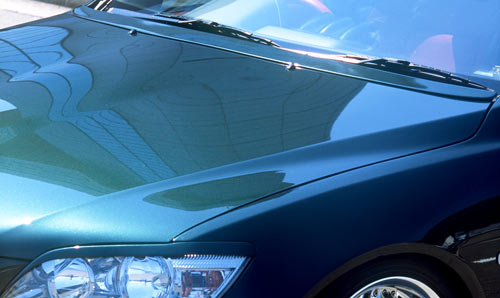 Vertex Altezza extras